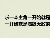 求一本主角一开始就是满级无敌的小说叫什么（求一本主角一开始就是满级无敌的小说）