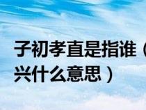 子初孝直是指谁（子初孝直若亡一人则汉室难兴什么意思）