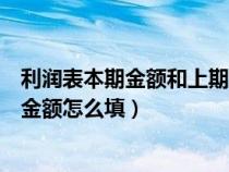 利润表本期金额和上期金额申报表（利润表本期金额和上期金额怎么填）