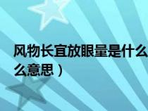 风物长宜放眼量是什么意思比喻什么（风物长宜放眼量是什么意思）