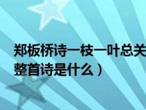 郑板桥诗一枝一叶总关情全诗（郑板桥的一枝一叶总关情的整首诗是什么）