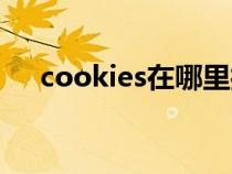 cookies在哪里打开（cookies在哪里）