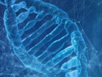 新的人类泛基因组参考文献发布