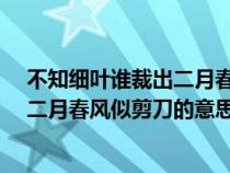 不知细叶谁裁出二月春风似剪刀的意思?（不知细叶谁裁出二月春风似剪刀的意思）