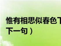 惟有相思似春色下一句是啥（惟有相思似春色下一句）