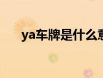 ya车牌是什么意思（车牌是什么意思）