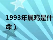 1993年属鸡是什么命女（1993年属鸡是什么命）