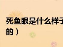 死鱼眼是什么样子的动漫（死鱼眼是什么样子的）