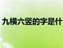 九横六竖的字是什么字（九横六竖是什么字）