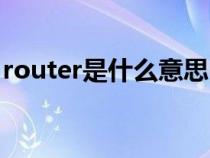 router是什么意思中文（router是什么意思）