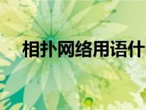 相扑网络用语什么意思（相扑是啥意思）