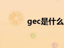 gec是什么项目（gec是什么）