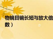 物镜目镜长短与放大倍数原理视频（物镜目镜长短与放大倍数）