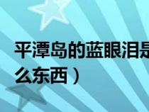 平潭岛的蓝眼泪是在哪里（平潭岛蓝眼泪是什么东西）