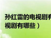 孙红雷的电视剧有哪些比较好看（孙红雷的电视剧有哪些）