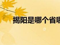 揭阳是哪个省哪个市（揭阳是哪个省）