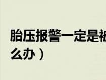 胎压报警一定是被扎了吗（胎压低警告灯亮怎么办）