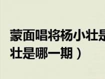 蒙面唱将杨小壮是哪一期唱的（蒙面唱将杨小壮是哪一期）