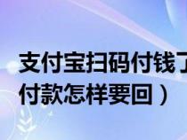 支付宝扫码付钱了能不能追回的（支付宝扫码付款怎样要回）