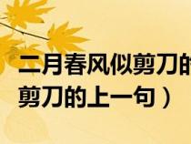 二月春风似剪刀的上一句是什么（二月春风似剪刀的上一句）