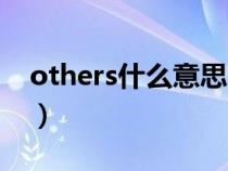 others什么意思中文翻译（others什么意思）