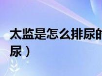 太监是怎么排尿的知乎贾如神（太监是怎么排尿）