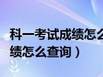 科一考试成绩怎么查询用时时间（科一考试成绩怎么查询）