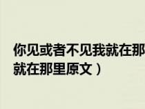 你见或者不见我就在那里不悲不喜哲理（你见或者不见我我就在那里原文）