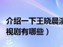 介绍一下王晓晨演过的电视剧（王晓晨演的电视剧有哪些）