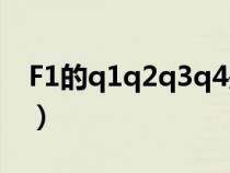 F1的q1q2q3q4是什么意思（q4是什么意思）