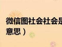 微信图社会社会是什么意思（社会社会是什么意思）