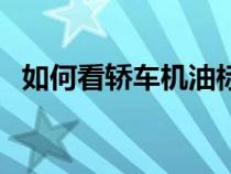 如何看轿车机油标尺（轿车机油表怎么看）