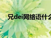 兄dei网络语什么意思（兄dei是什么梗）