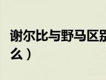 谢尔比与野马区别（谢尔比和野马的区别是什么）