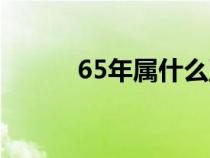 65年属什么五行（65年属什么）