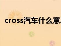 cross汽车什么意思（crosstour是什么车）