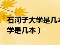 石河子大学是几本是211或985吗（石河子大学是几本）