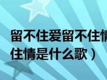 留不住爱留不住情是什么歌呢（留不住爱留不住情是什么歌）