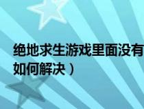 绝地求生游戏里面没有声音怎么回事（绝地求生游戏没声音如何解决）