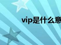 vip是什么意思（vp是什么意思）