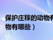 保护庄稼的动物有哪些一年级（保护庄稼的动物有哪些）