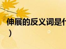 伸展的反义词是什么最佳答案（伸展的反义词）