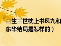 三生三世枕上书凤九和东华什么时候在一起（枕上书凤九和东华结局是怎样的）