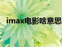 imax电影啥意思（imax影院是什么意思）