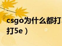 csgo为什么都打5e不打官匹（csgo为什么都打5e）