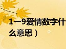 1一9爱情数字什么意思啊（1一9爱情数字什么意思）