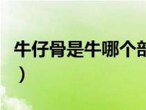 牛仔骨是牛哪个部位（牛仔骨是牛的什么部位）