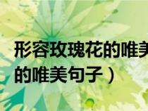 形容玫瑰花的唯美句子发朋友圈（形容玫瑰花的唯美句子）