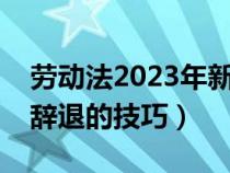 劳动法2023年新规定辞退补偿（让单位主动辞退的技巧）