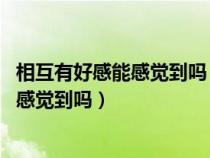 相互有好感能感觉到吗 一个眼神告诉你答案（相互有好感能感觉到吗）